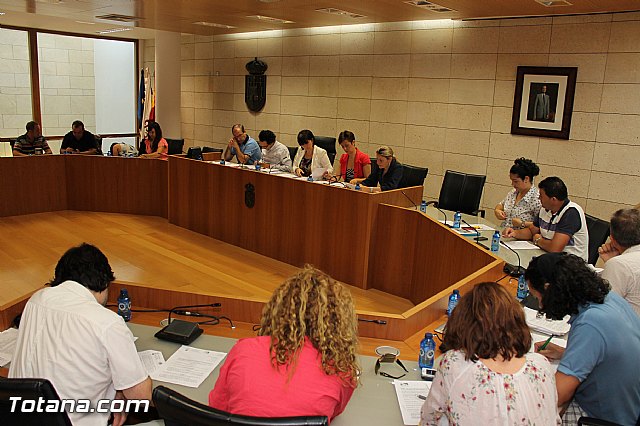 Pleno ordinario Julio 2012 - 8