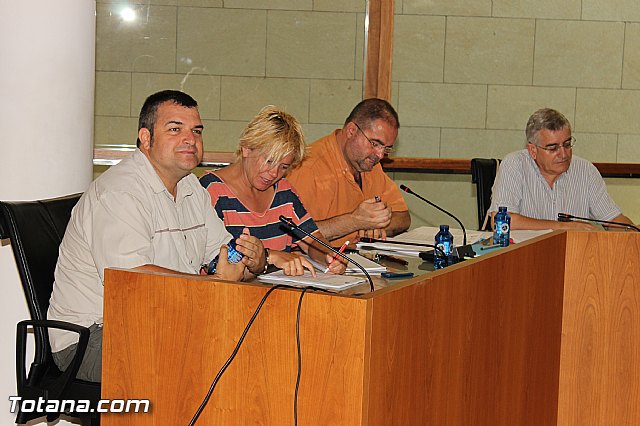Pleno ordinario Julio 2012 - 9