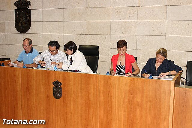 Pleno ordinario Julio 2012 - 11