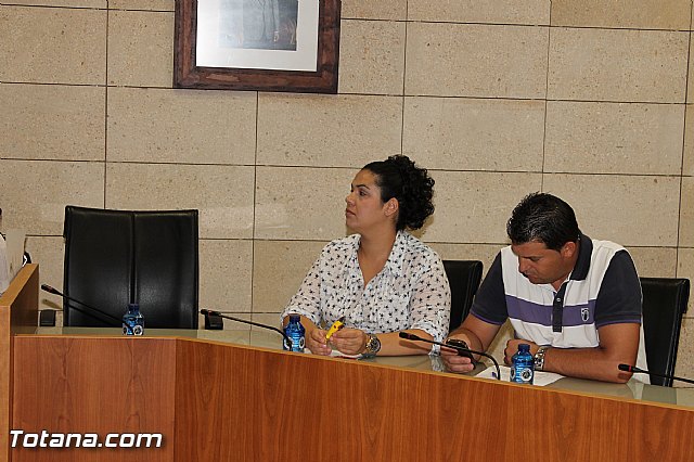 Pleno ordinario Julio 2012 - 12