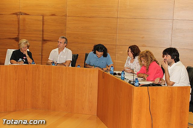 Pleno ordinario Julio 2012 - 13