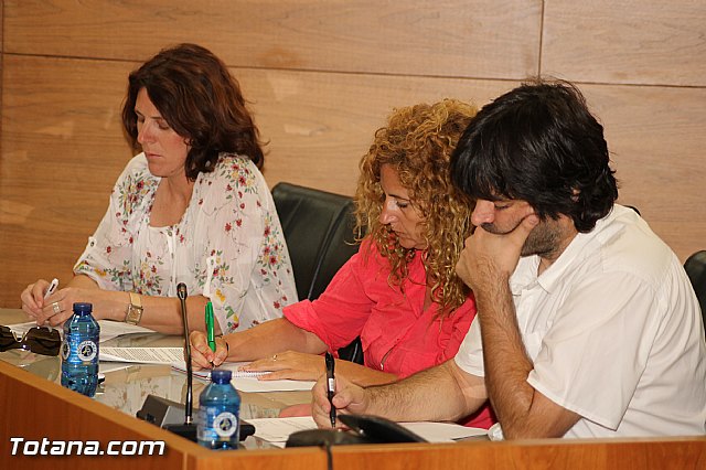 Pleno ordinario Julio 2012 - 17