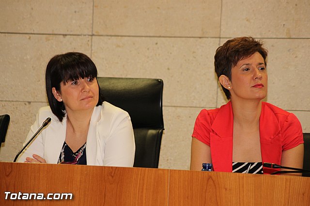 Pleno ordinario Julio 2012 - 22