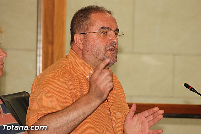 Pleno ordinario Julio 2012 - 25