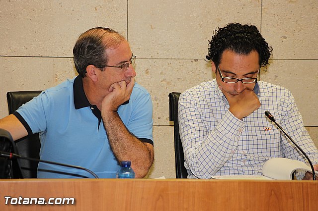 Pleno ordinario Julio 2012 - 28