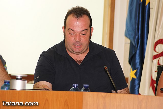 Pleno ordinario Julio 2012 - 31