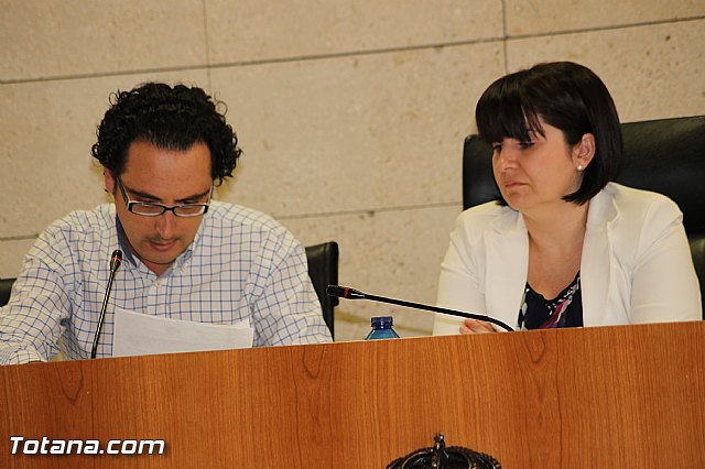 Pleno ordinario Julio 2012 - 34