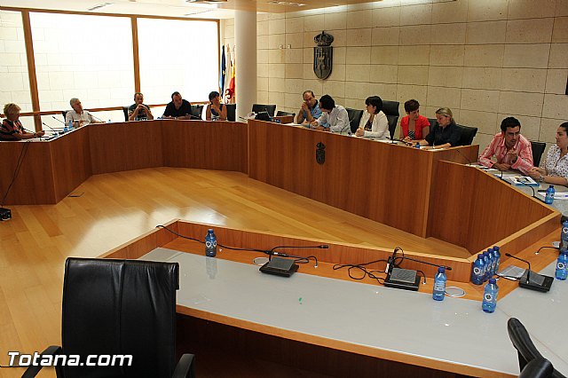 Pleno ordinario Julio 2012 - 42