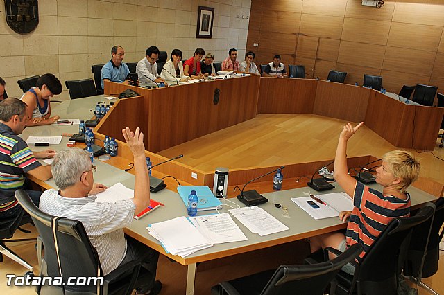 Pleno ordinario Julio 2012 - 46