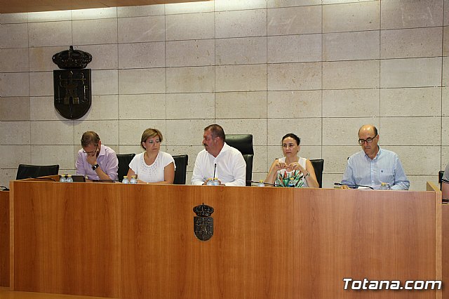 Pleno ordinario julio 2017 - 1