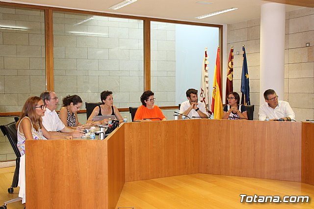 Pleno ordinario julio 2017 - 2