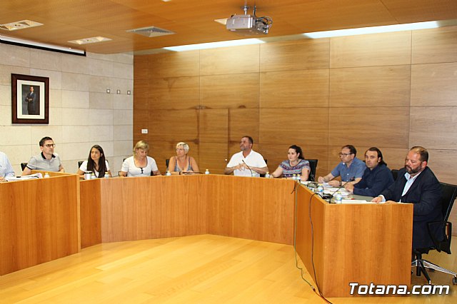 Pleno ordinario julio 2017 - 3