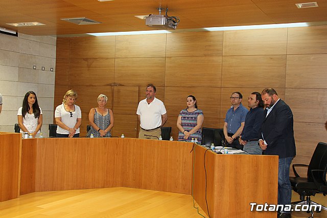 Pleno ordinario julio 2017 - 5