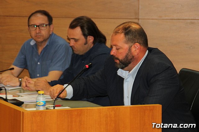 Pleno ordinario julio 2017 - 13