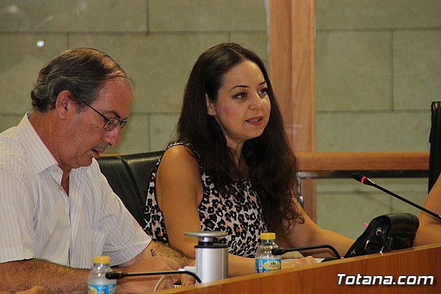 Pleno ordinario julio 2017 - 14