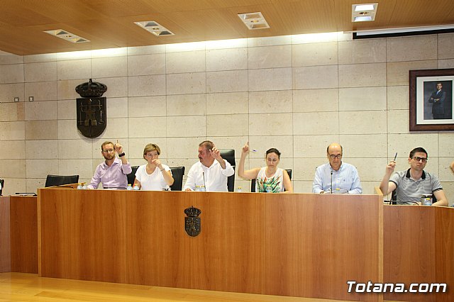 Pleno ordinario julio 2017 - 15