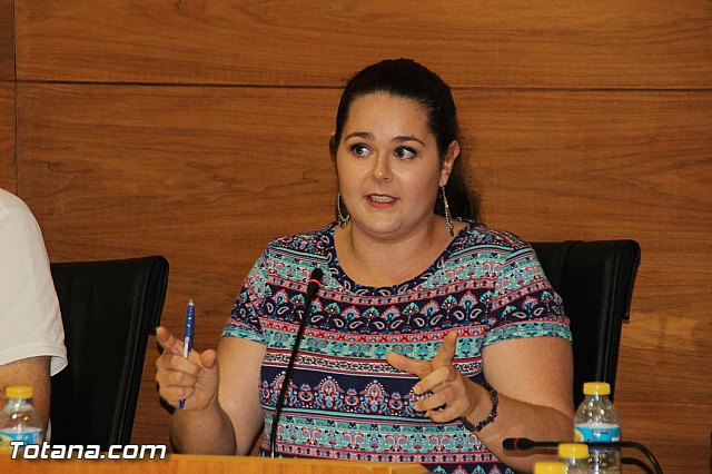 Pleno ordinario julio 2017 - 22