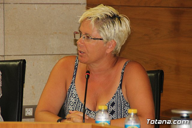 Pleno ordinario julio 2017 - 24