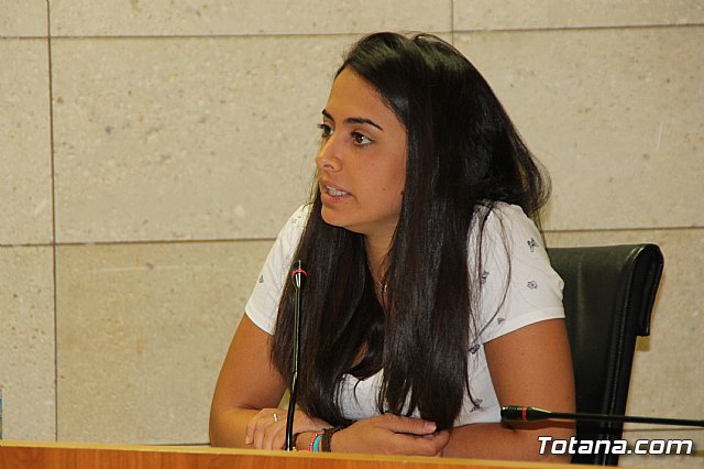 Pleno ordinario julio 2017 - 25