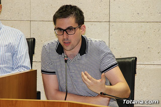 Pleno ordinario julio 2017 - 29