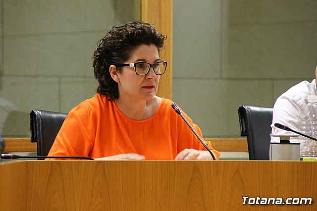 Pleno ordinario julio 2017 - 30