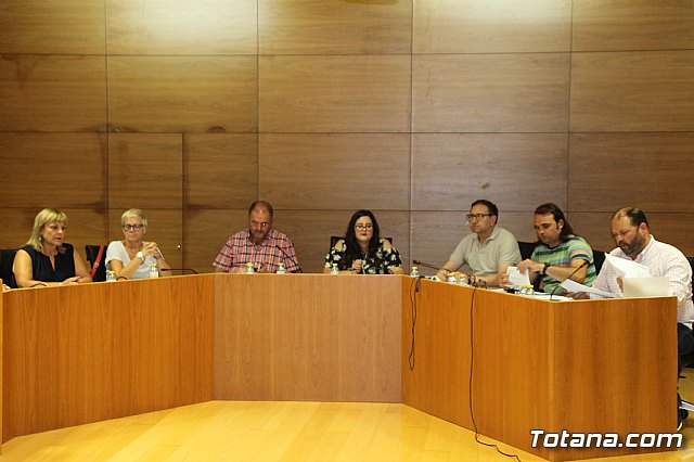 Pleno ordinario Septiembre 2018 - 3