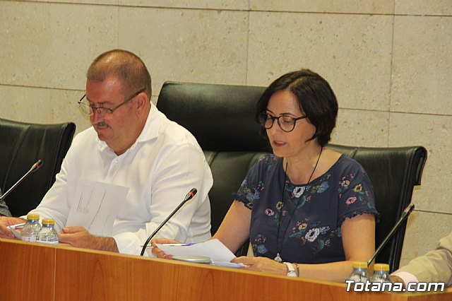 Pleno ordinario Septiembre 2018 - 7