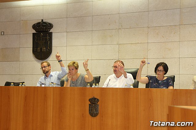 Pleno ordinario Septiembre 2018 - 12