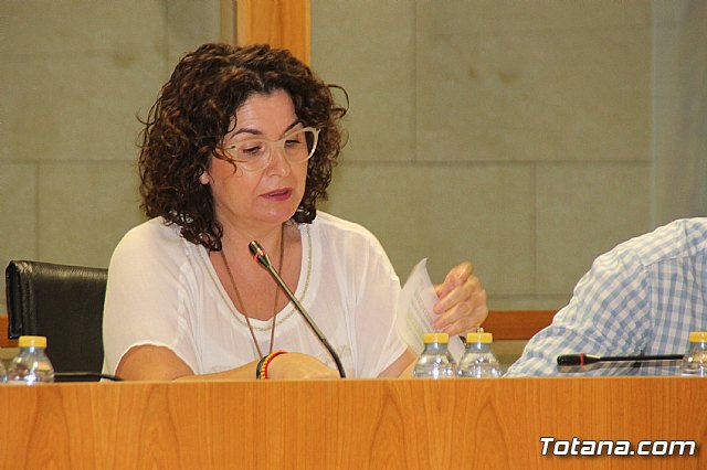 Pleno ordinario Septiembre 2018 - 15