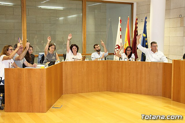 Pleno ordinario Septiembre 2018 - 18