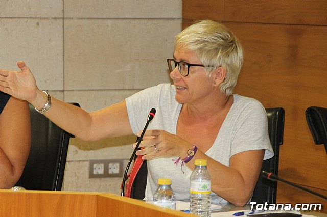 Pleno ordinario Septiembre 2018 - 20