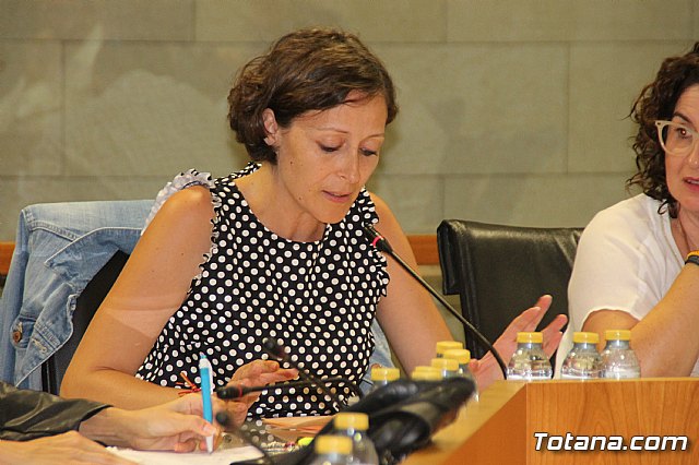 Pleno ordinario Septiembre 2018 - 23