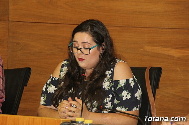 Pleno ordinario Septiembre 2018 - 25