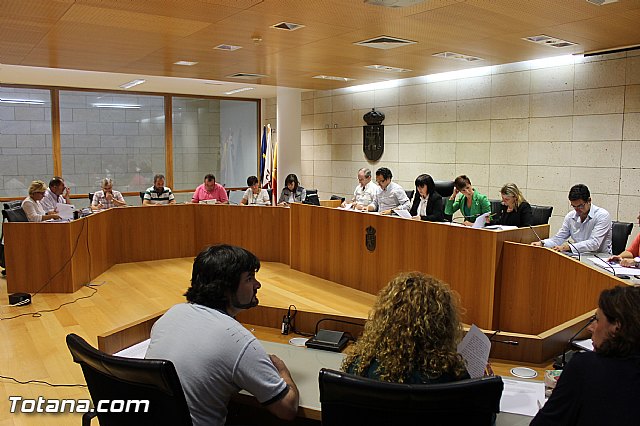 Pleno ordinario septiembre 2012 - 1