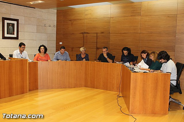 Pleno ordinario septiembre 2012 - 5