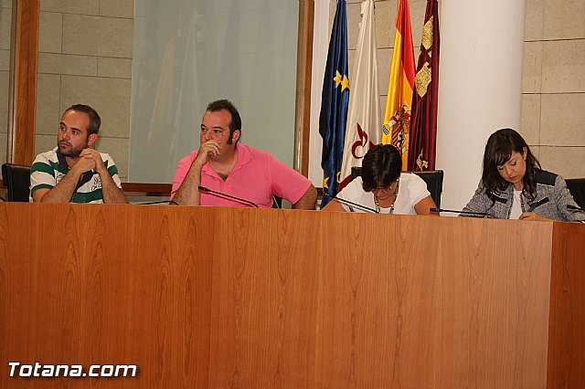 Pleno ordinario septiembre 2012 - 10