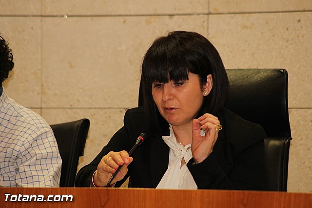 Pleno ordinario septiembre 2012 - 12