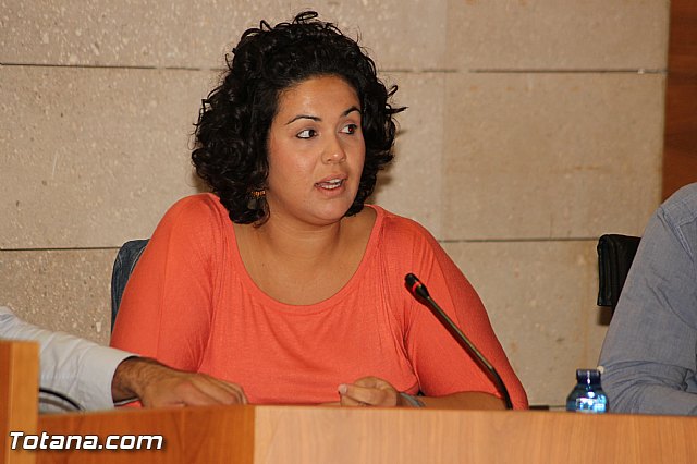 Pleno ordinario septiembre 2012 - 28