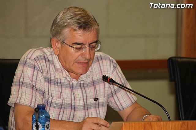 Pleno ordinario septiembre 2012 - 29