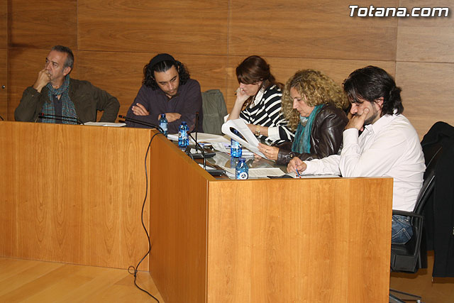 Pleno ordinario. Octubre 2011 - 6