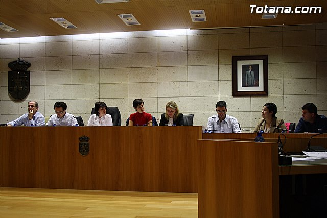 Pleno ordinario. Octubre 2011 - 7