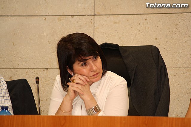 Pleno ordinario. Octubre 2011 - 12