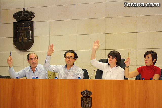 Pleno ordinario. Octubre 2011 - 17