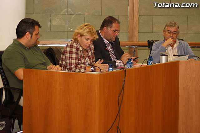 Pleno ordinario. Octubre 2011 - 19