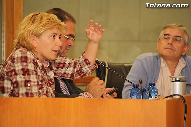 Pleno ordinario. Octubre 2011 - 20