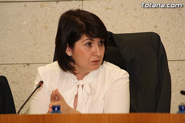 Pleno ordinario. Octubre 2011 - 29