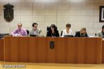 Pleno Diciembre 2012