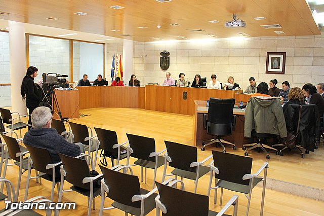 Pleno ordinario Diciembre 2012 - 1