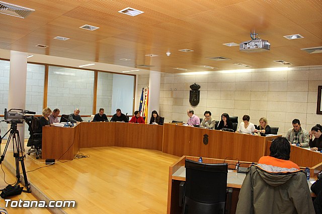 Pleno ordinario Diciembre 2012 - 2