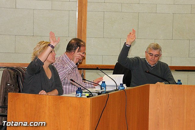 Pleno ordinario Diciembre 2012 - 17